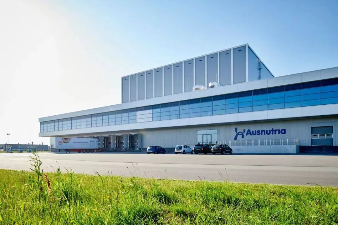 羊奶一哥是谁,奶粉一哥实盘