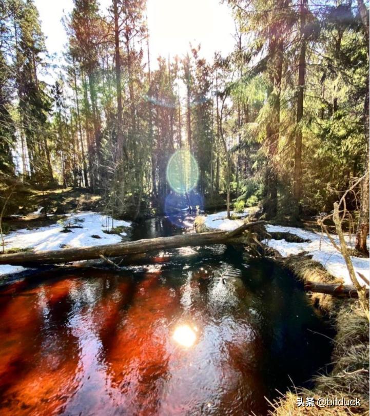路亚怎么钓小白条路亚竿推荐,新手学路亚用什么调性的路亚竿