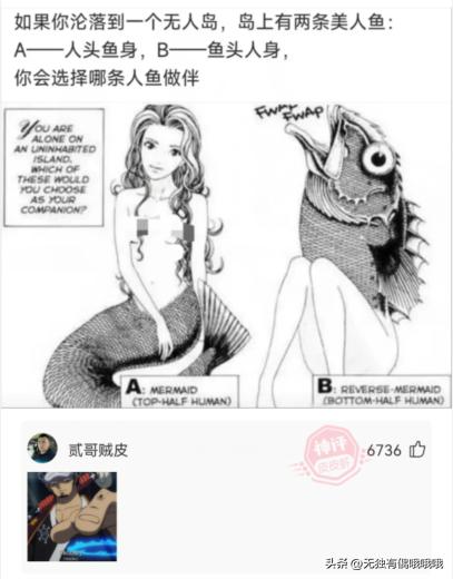 神回复你腿还挺好看的,神回复你的段子