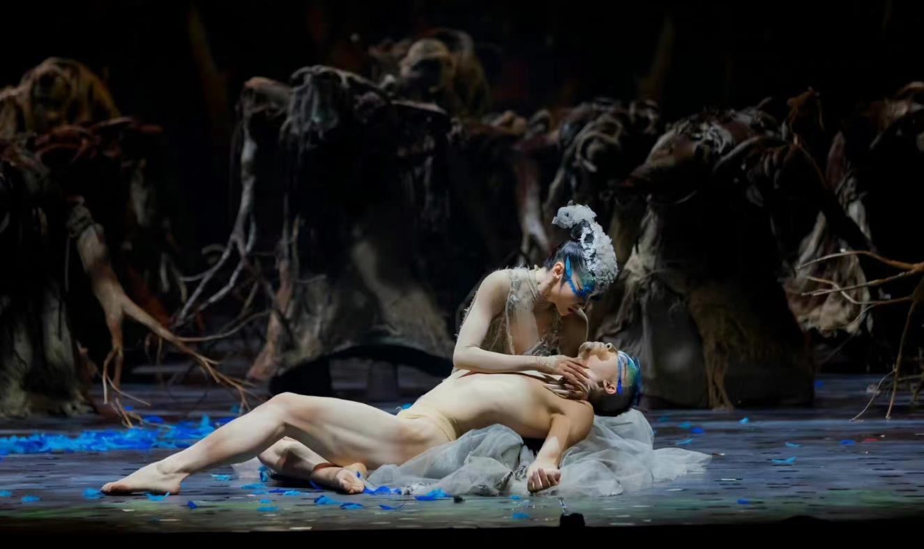 继贴贴后杨丽萍舞蹈再受争议，男孔雀穿皇帝的新衣露隐私部位