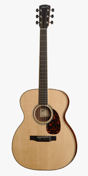 一个人弹吉他用什么种类的吉他,怎么知道自己弹的是什么