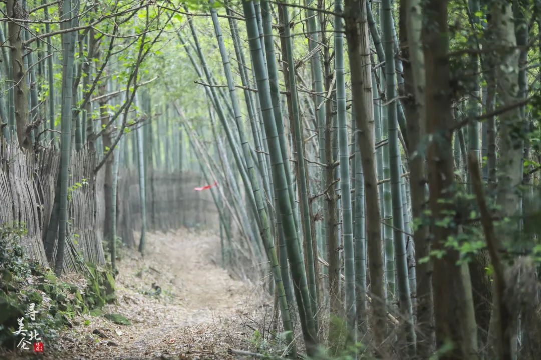 北仑步道爬山,北仑爬山路线