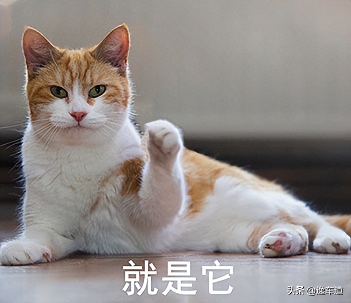 60万公里报废二手车本田奥德赛,14奥德赛二手事故车