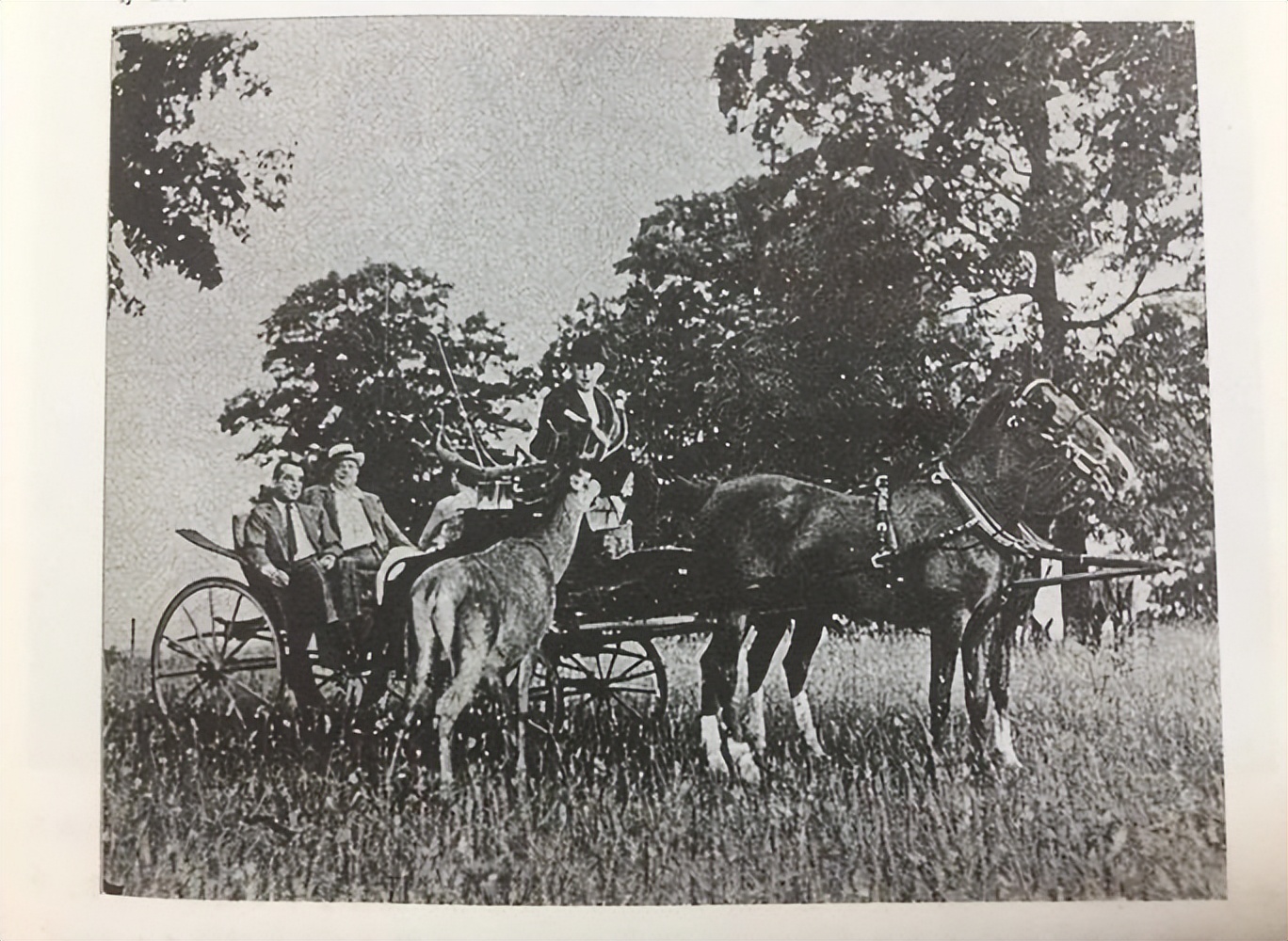 乘风破浪的啤酒：三代人孕育的“啤酒之王”，为何会*身卖**英博？