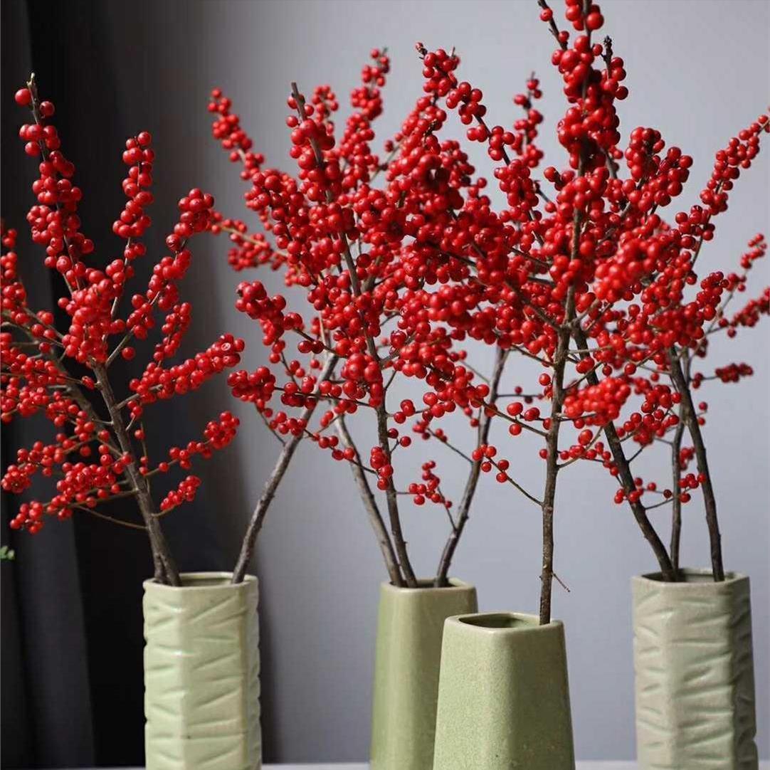 好养的贵族花,4种花便宜好养又漂亮