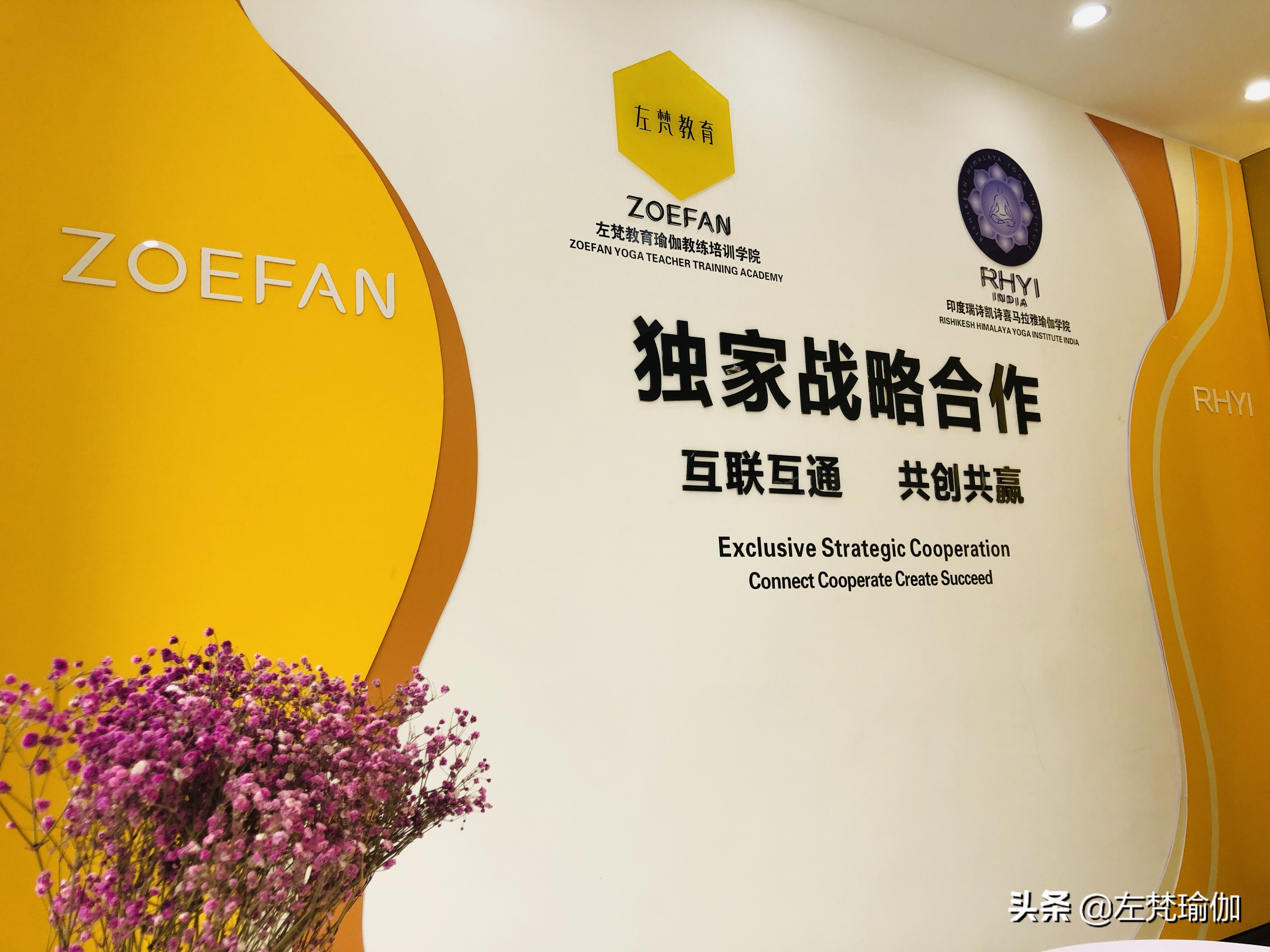 广州左梵瑜伽培训,广州左梵教育