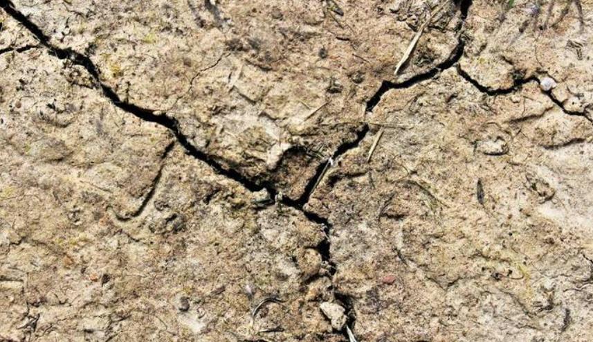 土壤侵蚀：它削弱了地球的生命力和抵抗力，你能做些什么？