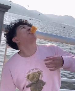 喂过一次大连海鸥，人类就要为自己的弱小羞愧