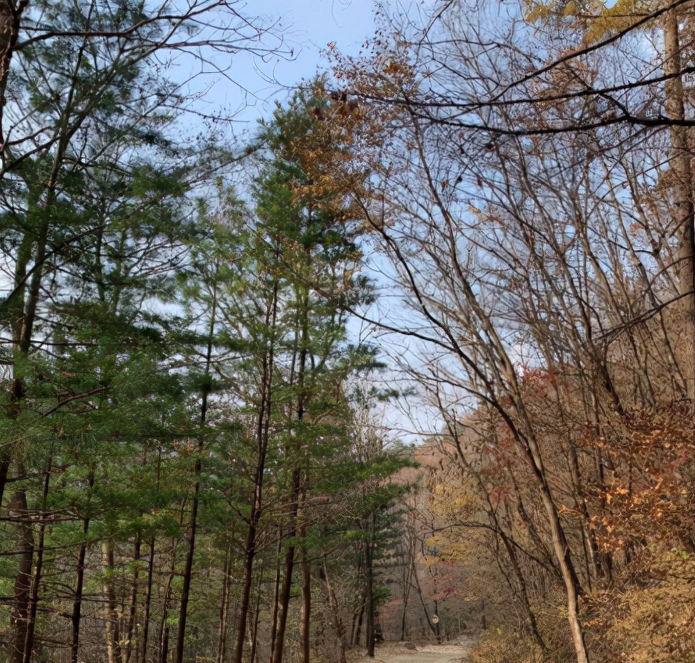 安全出行米其林轮胎,安全舒适轮胎