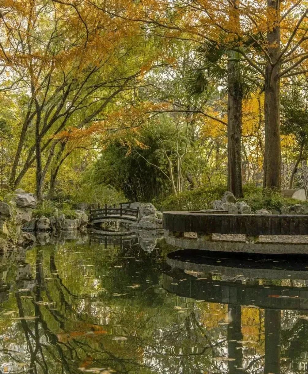 阔别1136天，你需要这份攻略～