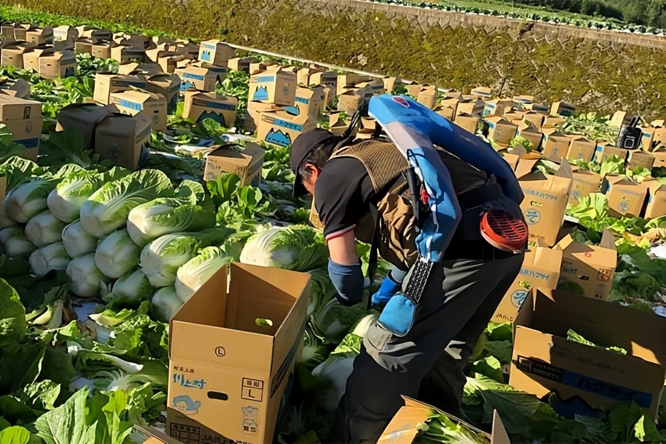 无需电源，可减轻腰部负担，日本智能农业“肌肉套装”来了