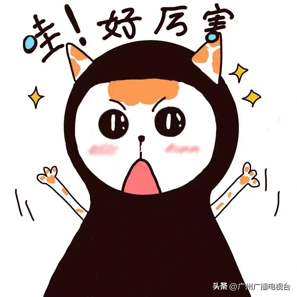 广州市省博物馆参观攻略,go带你去看世界