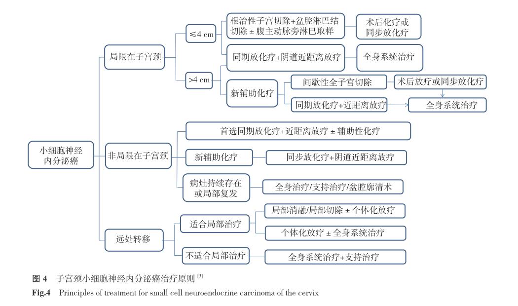 派特灵治疗宫颈hpv31吗,派特灵治宫颈炎吗