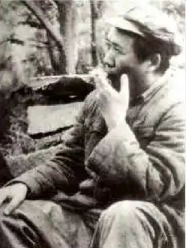 见*先念李**抽雪茄，毛主席看了半天：你有这么好的烟，怎么不告诉我