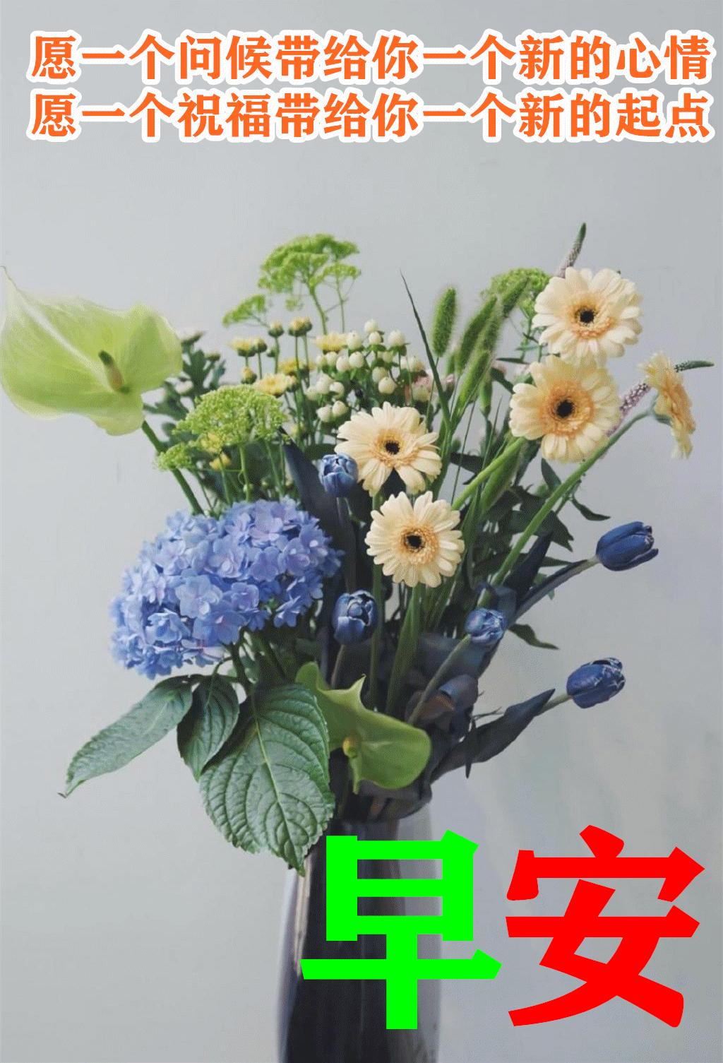 周末早安最漂亮问候图片带字,周三早安正能量图片带字