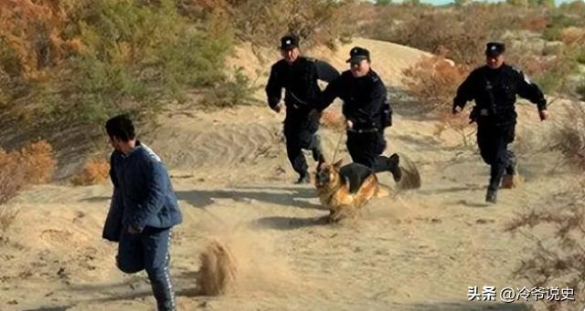 警犬抓捕女尸案例,警犬抓女犯