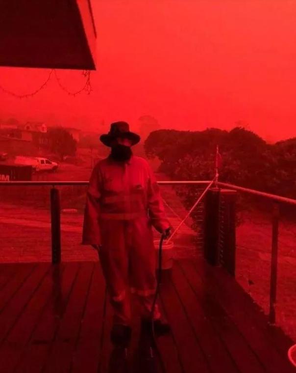 极端高温,灾难的开始…该如何拯救