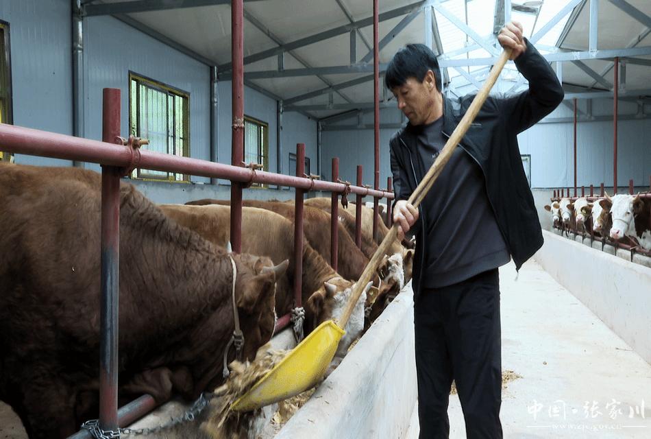 特色养殖助力乡村振兴图片,乡镇特色养殖助力乡村振兴简报