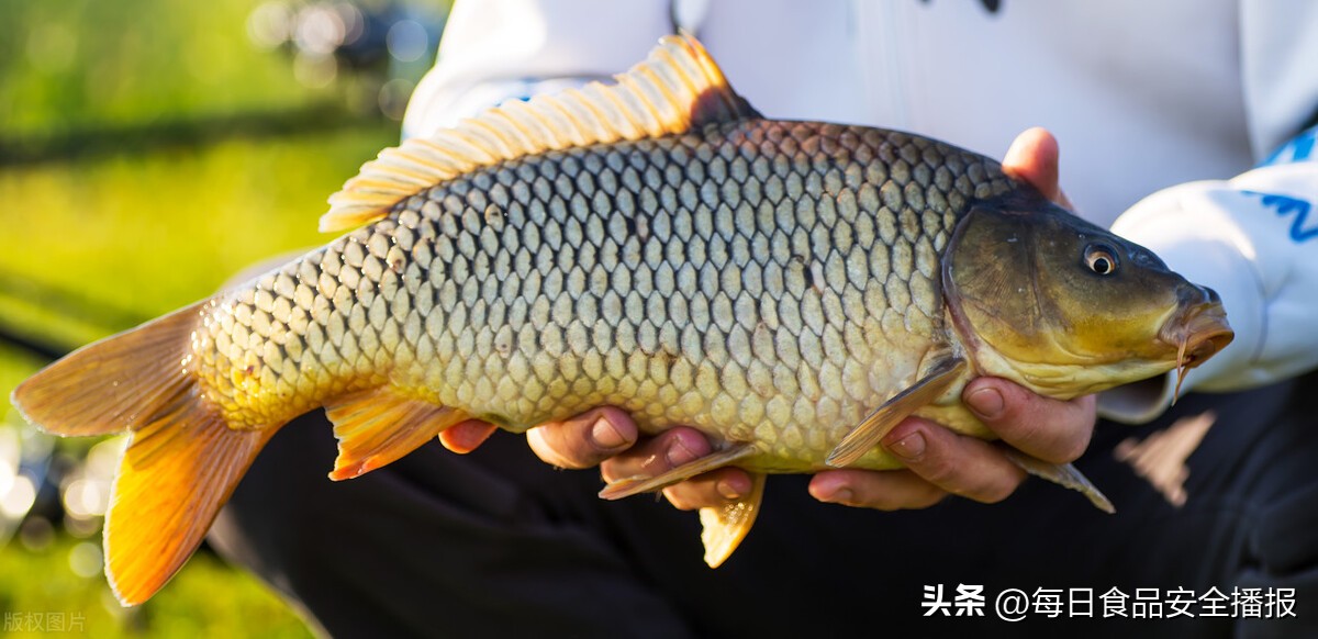 健康饮食提醒：河北曝光20批问题食品，含皮皮虾、牛肉、油饼
