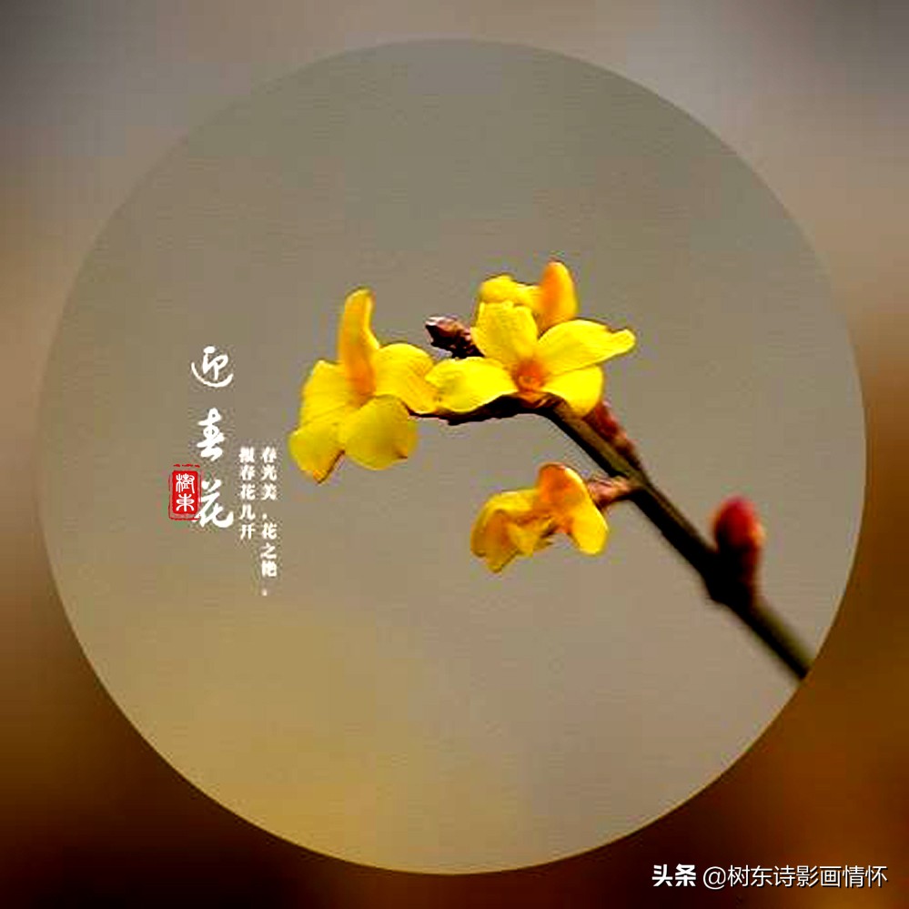 诗词中最美的春天,100句诗词写出最美的春天