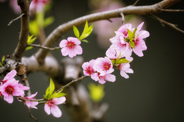 有一种朋友不在身边却在心间语录,有一种爱不在身边却在心间