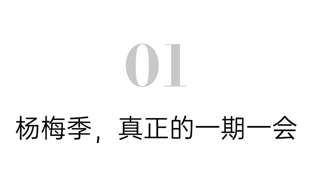 90后辞职回村种植中药材,90后夫妻放弃城市工作回乡当果农