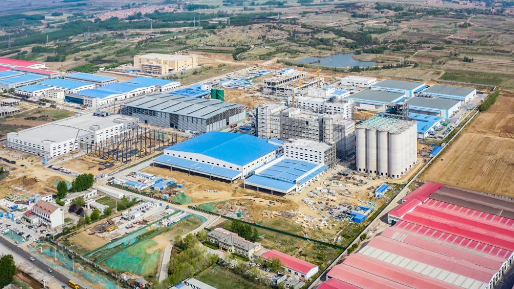 青岛市政府最新签约,市政府代表团访港澳招商推介