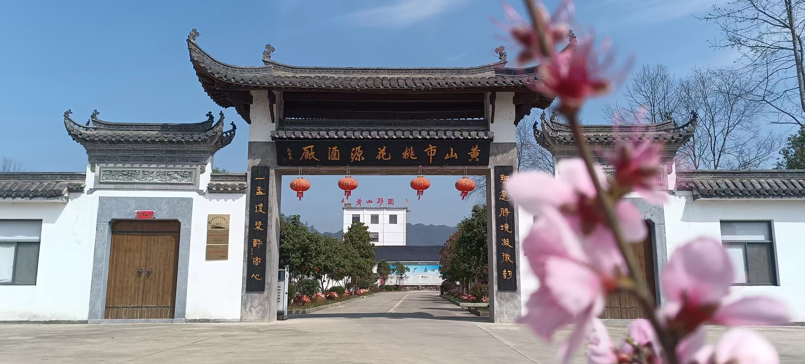 退伍不褪色，扎根“桃花源”，创业勇担当