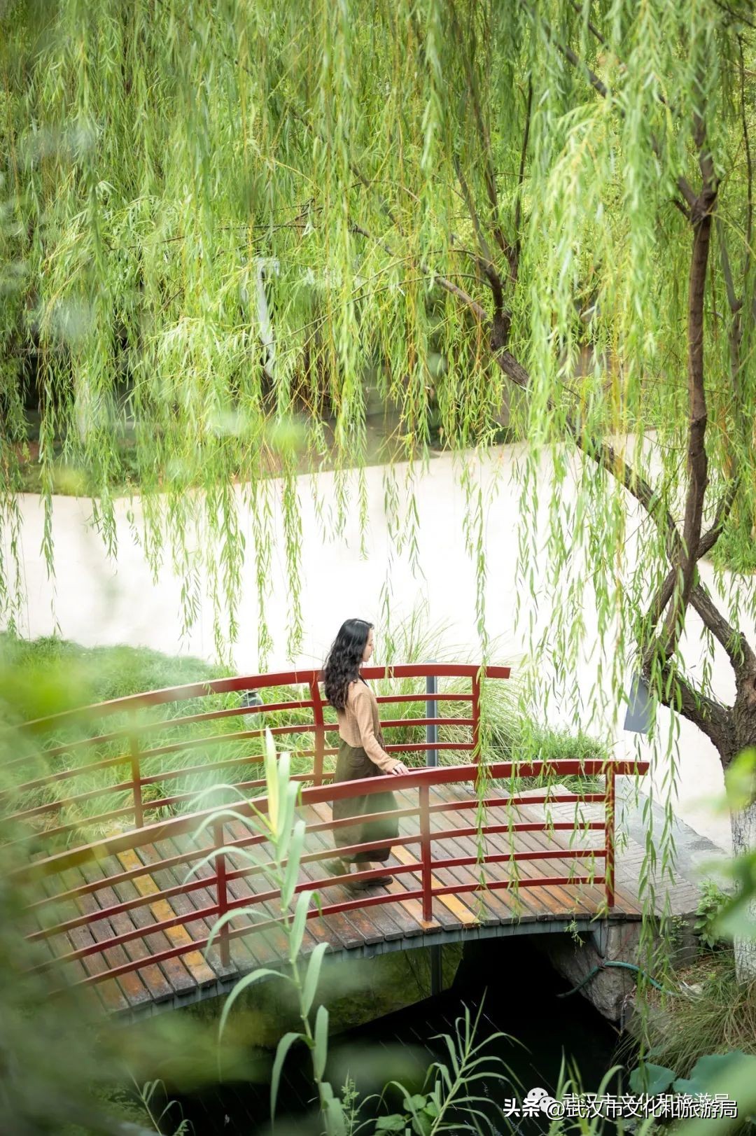 九月，秋风吹进武汉人的小院