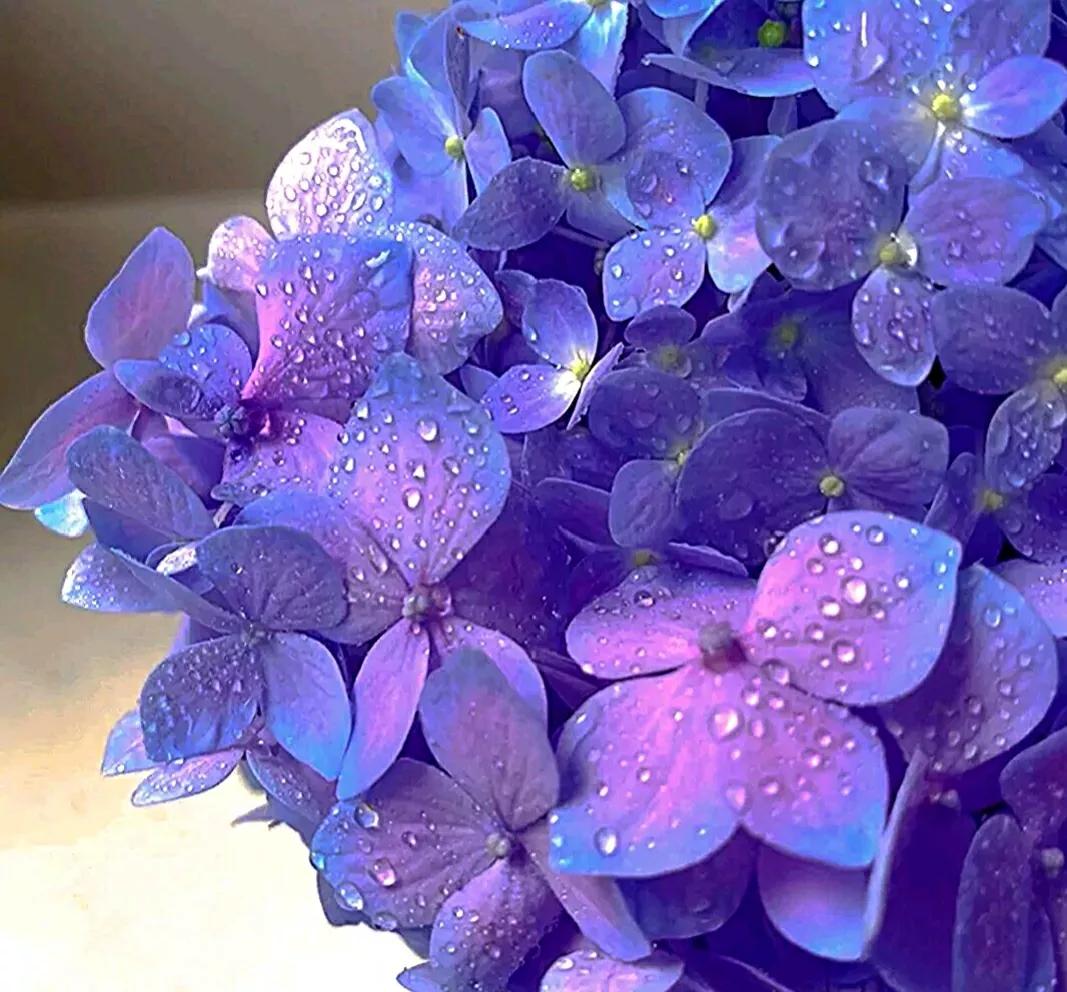 爱情文案浪漫暖心高级文案,建筑专业的浪漫文案