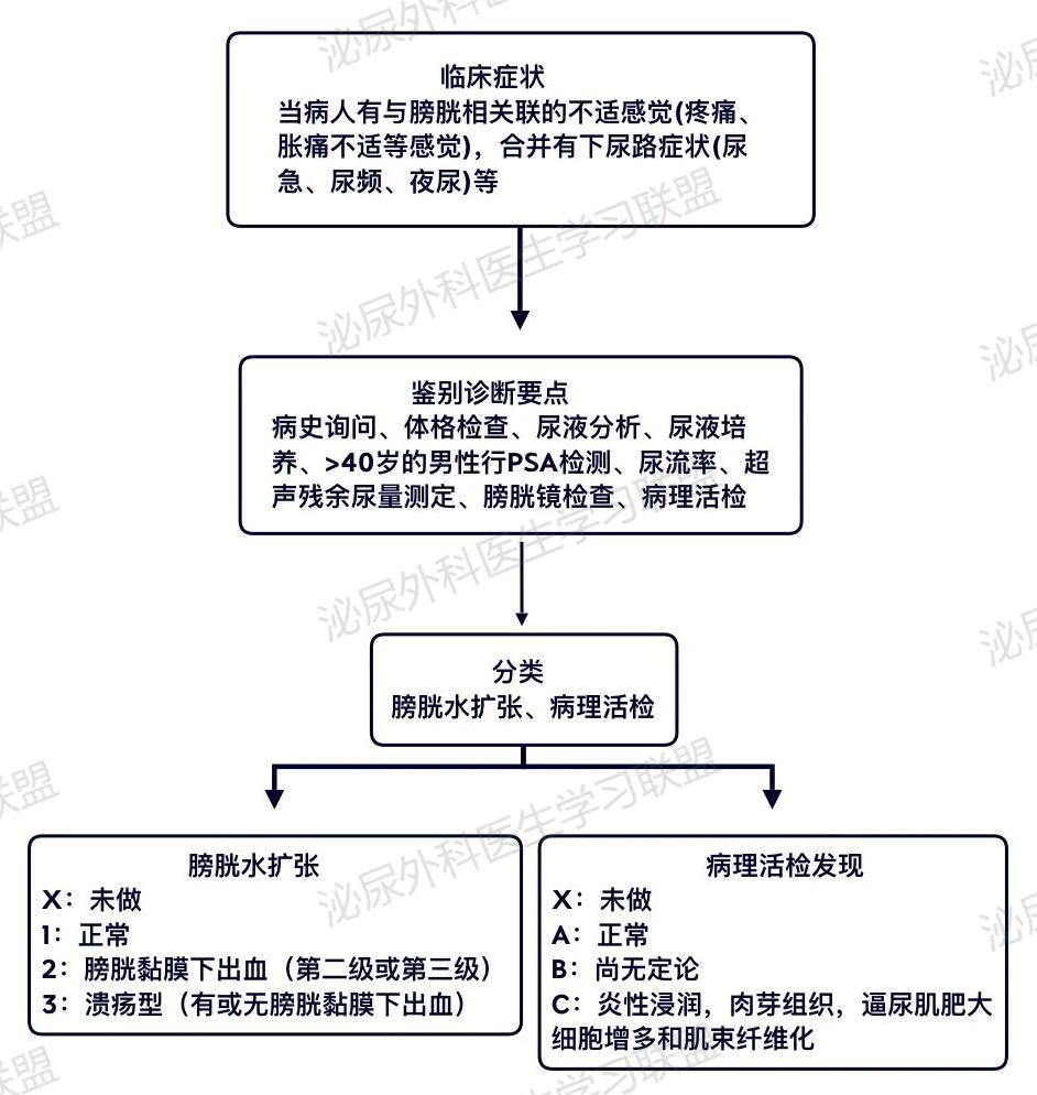 膀胱疼痛综合征的病例,膀胱疼痛综合征主要表现
