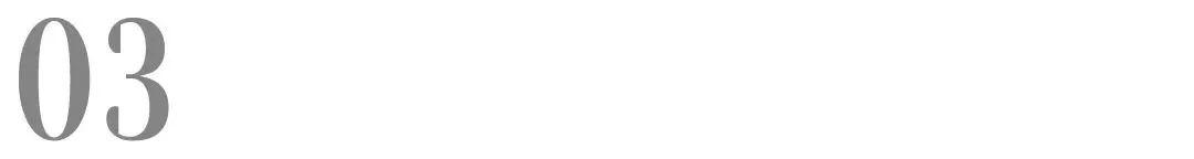 中誉宠物食品是中宠吗,中誉宠物食品有限公司