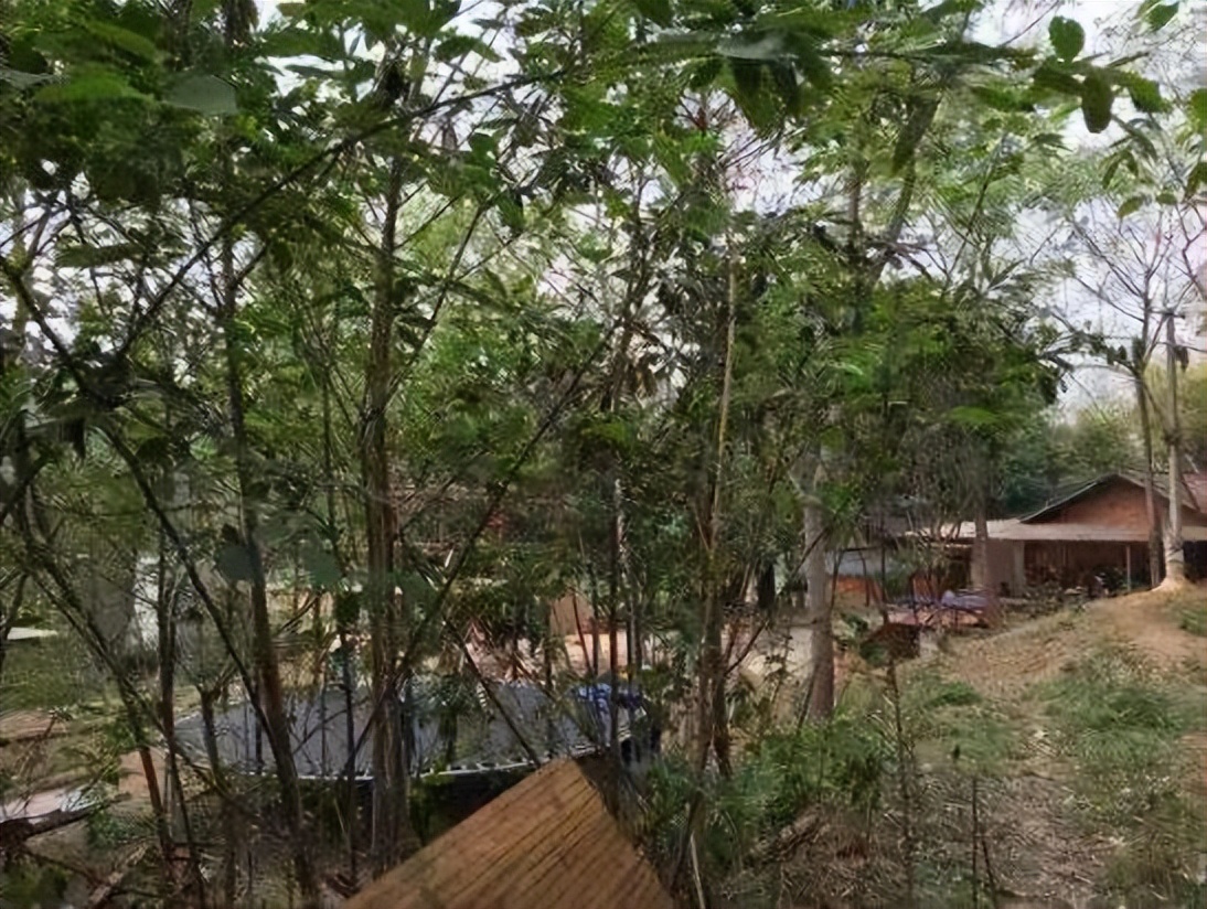 范跑跑汶川地震亲历记,汶川地震老师范跑跑逃生