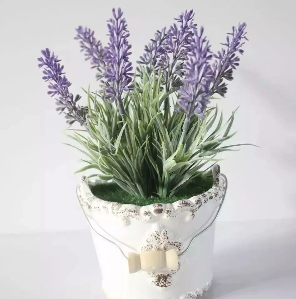 卧室养什么花最好最养人,客厅养什么花最好养最旺财