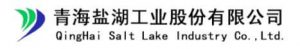 中国十大锂生产企业,中国锂业企业前十名