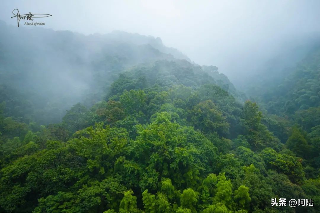 宁海天明山森林温泉小木屋,宁海最好的温泉度假区