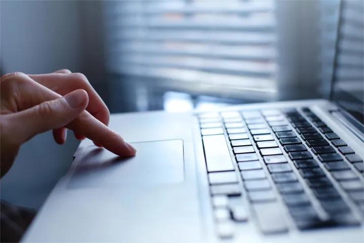 win11搜索栏bug,win11搜索栏搜索不到文件