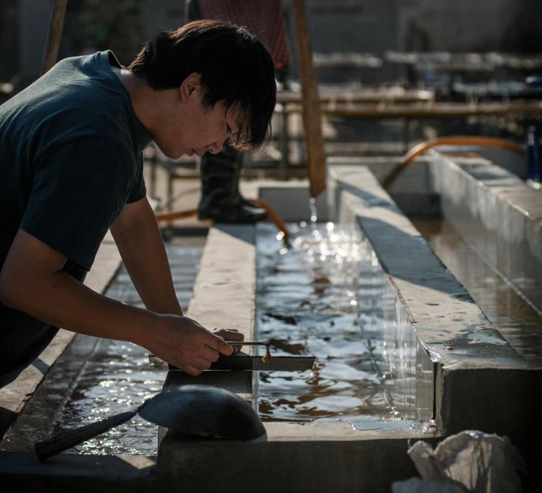 春天里的保山：连锁品牌、线上平台与返乡青年如何改变保山咖啡