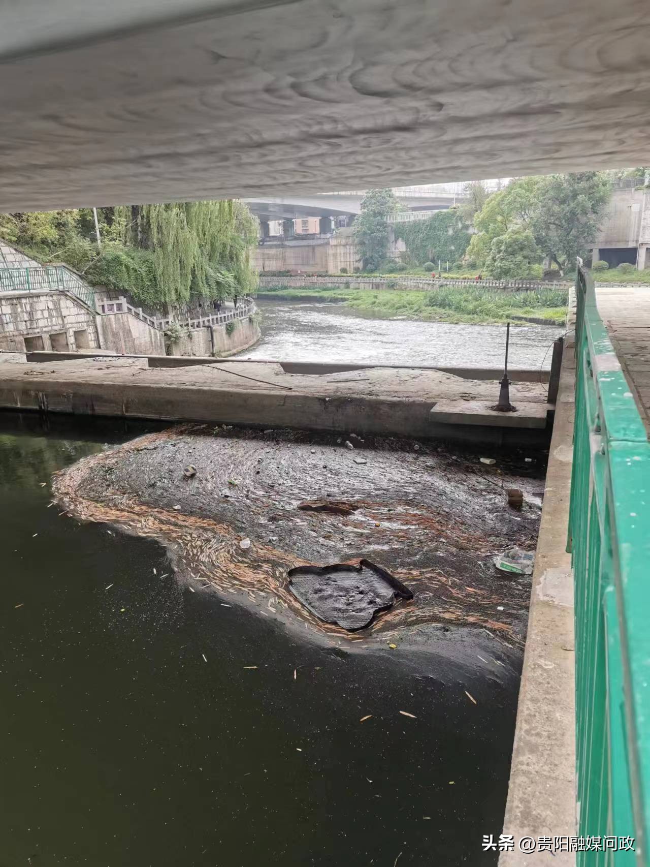 融媒体中心巡查反馈,融媒体巡查