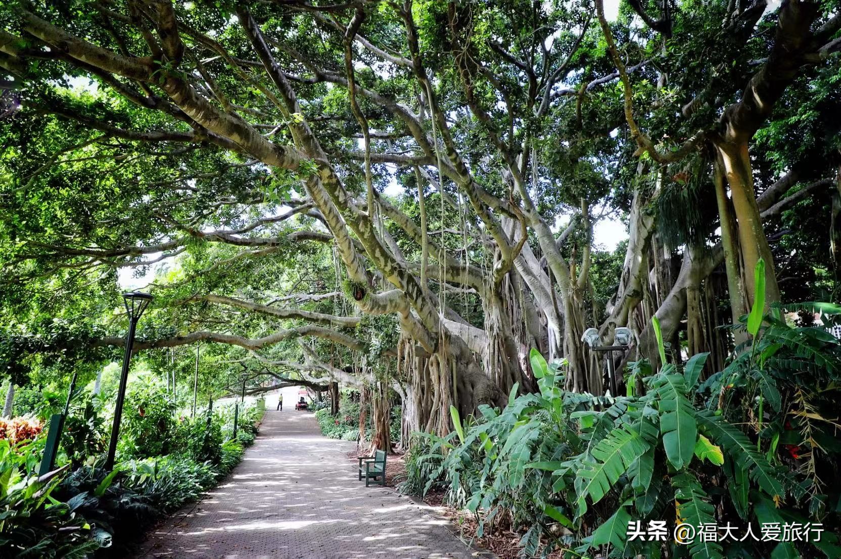 澳洲哪些城市可以用支付宝,澳大利亚人生活环境