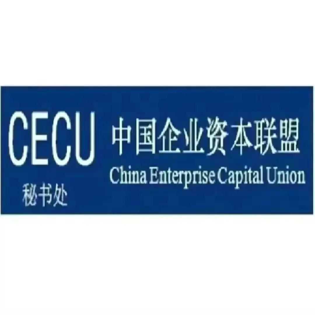 金融街电讯杜猛谈文化,杜猛金融街电讯视频