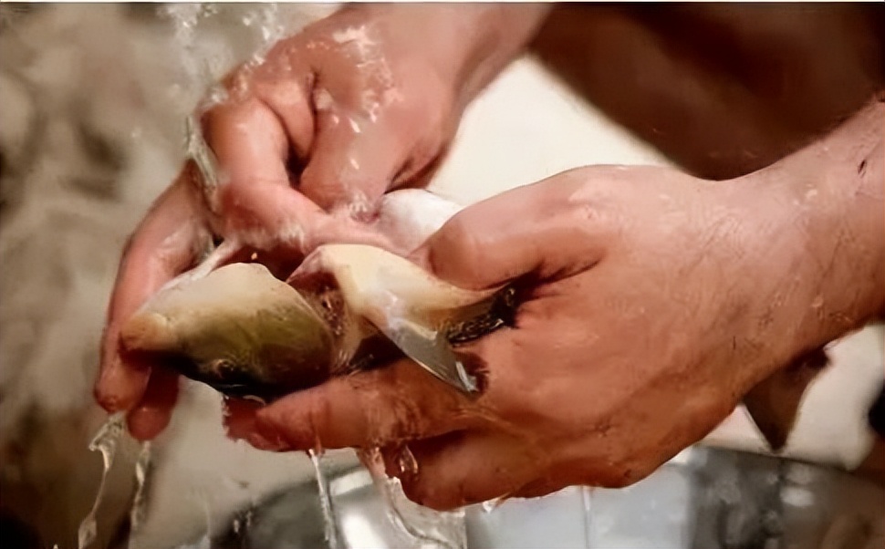 鸡肉哪个部位是癌症的克星,鸡肉抗癌