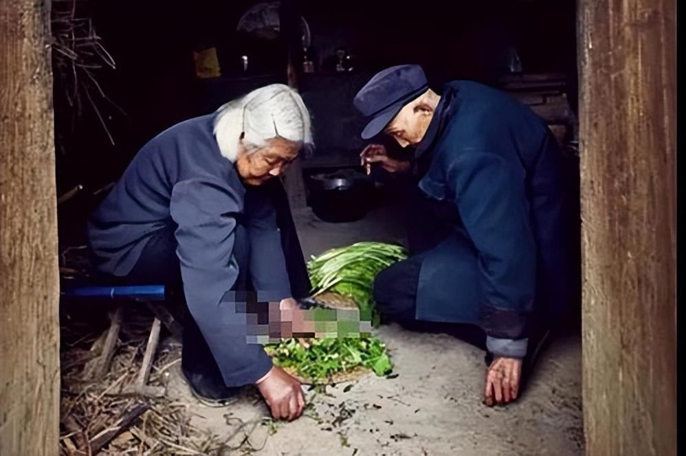 神秘组织补漏帮,神秘组织安徽