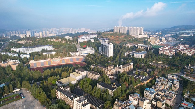 政府办和市委办选哪个,市委办公室和组织部哪个岗位好