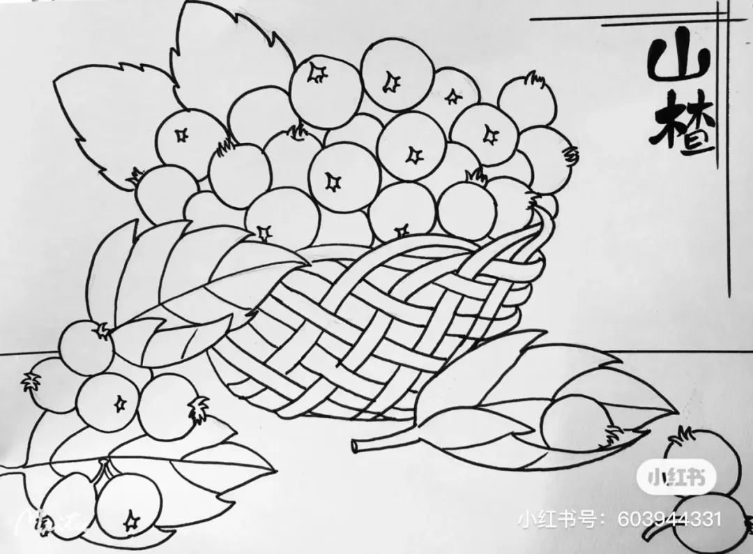 针管笔画线条练习,针管笔黑白装饰画线描