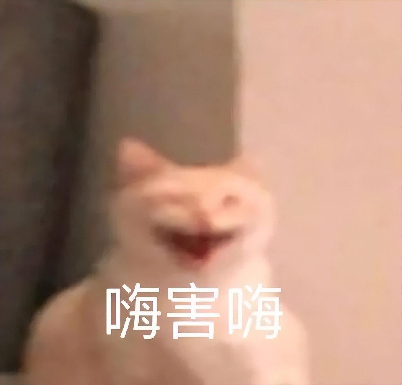 年薪60万和公务员如何选择,公务员年薪17万什么水平