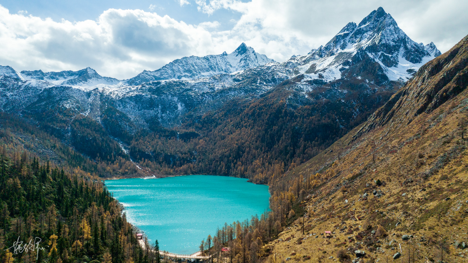 我的2022年度报告,我的2022原版