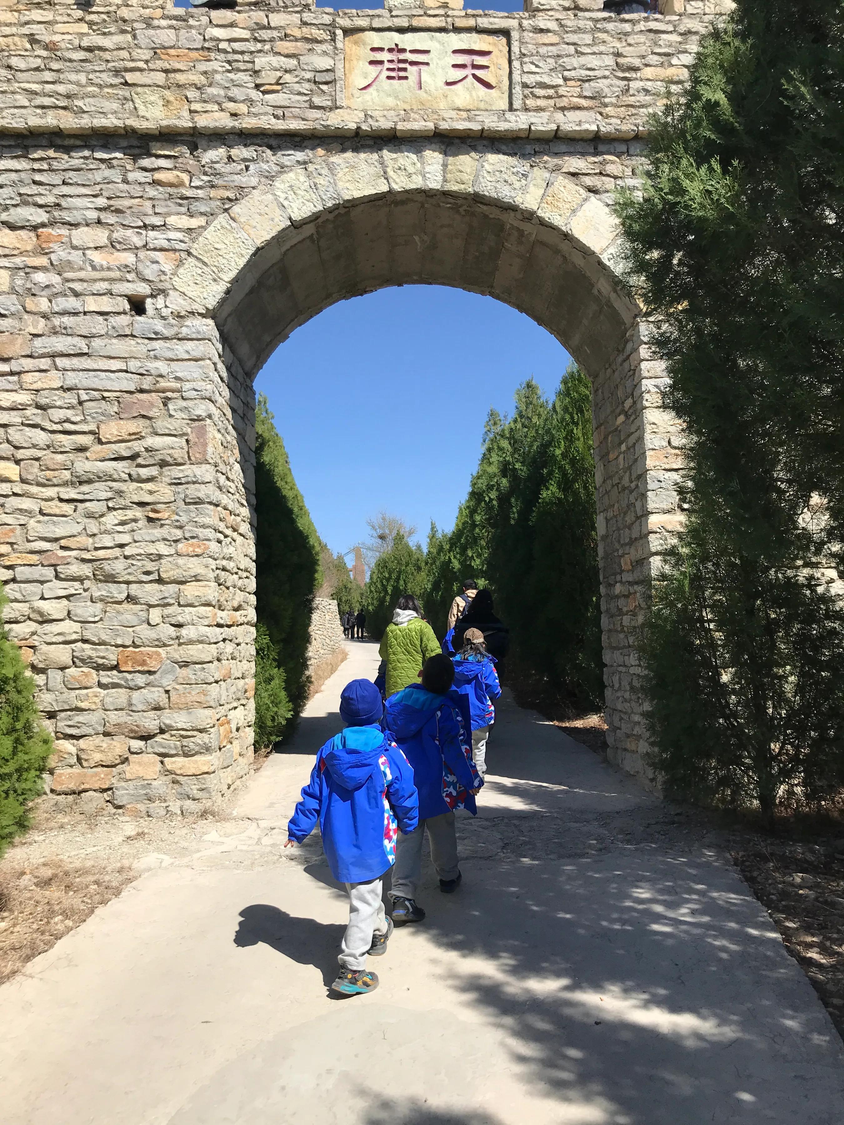 种下一棵希望的幼苗，交换出无限的快乐与成长