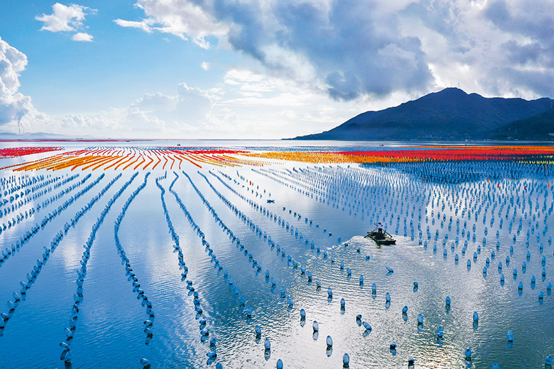 天更蓝水更绿山更清环境更优美,让天空更蓝大地更绿江河更清