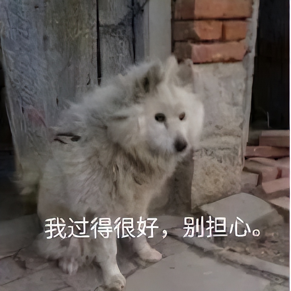 上班就恶心反胃是怎么回事,上班就恶心想吐